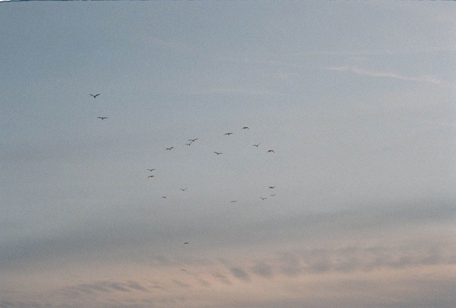 Insights on Reconnecting with Your Roots